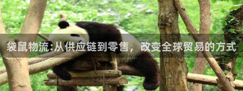 28圈充值不到账：袋鼠物流:从供应链