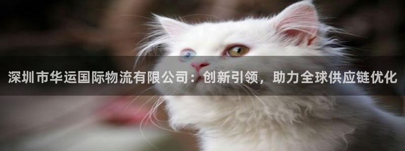 28圈.ccmpc29官网版下载：深