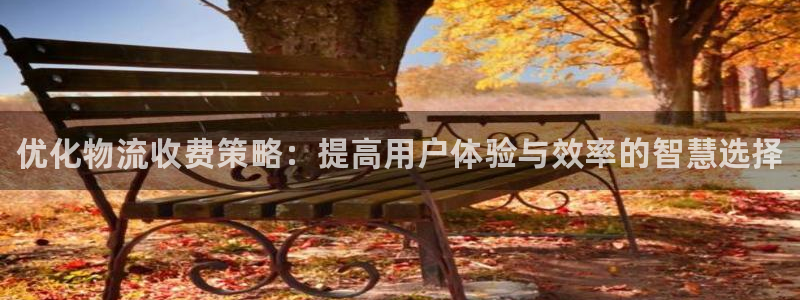 28圈加拿大官网：优化物流收费策略：