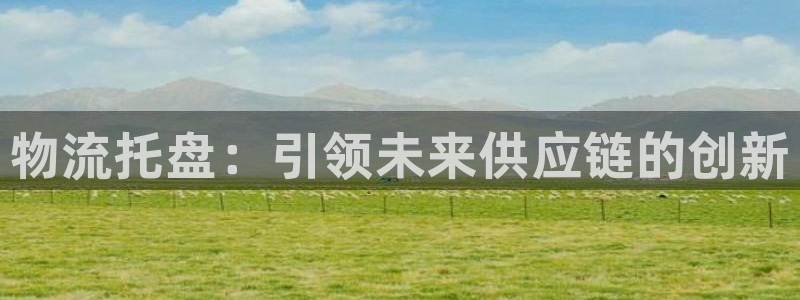 28圈开奖预测：物流托盘：引领未来供