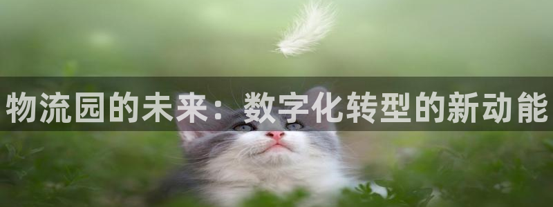 28圈游戏最新版：物流园的未来：数字化转型的新动能