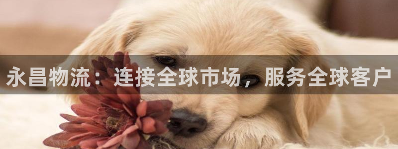 28圈网赌有什么风险:永昌物流:连接