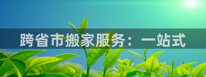 28圈加拿大官网：跨省市搬家服务：一