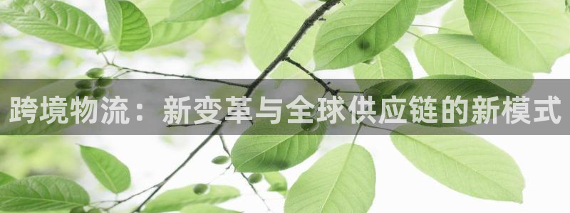 28圈相信品牌的力量：跨境物流：新变