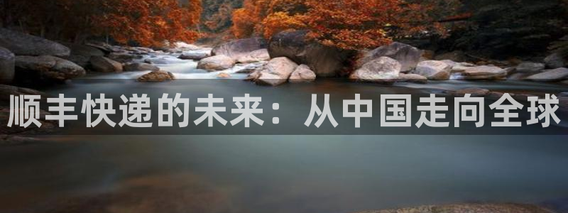 28圈分分压单双技巧：顺丰快递的未来