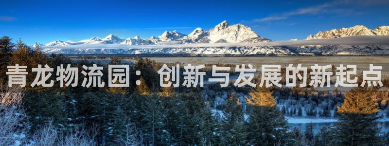 28圈为什么没有赢过一次：青龙物流园