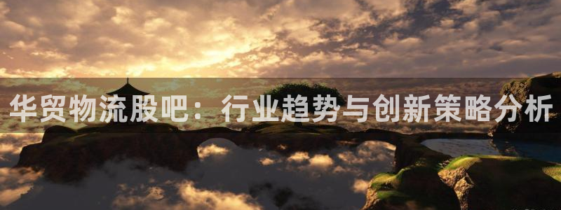 28圈ip被限制怎么解决：华贸物流股