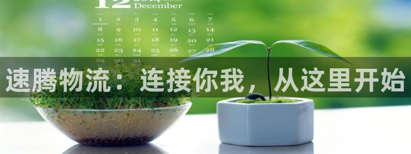 28圈麻将胡了爆分视频：速腾物流：连