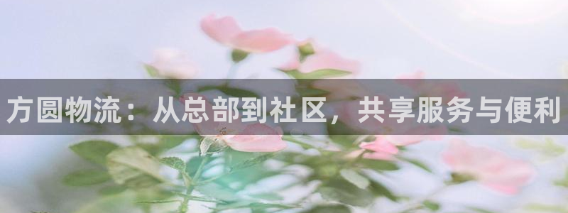 28圈的平台：方圆物流：从总部到社区